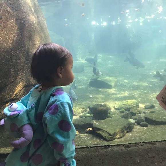 Meet your Posher, Tatyana - Picture 1 of 1